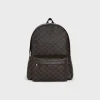 Medium Backpack in Triomphe Canvas and Calfskin