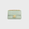 Medium Celine Victoire Bag in PYTHON