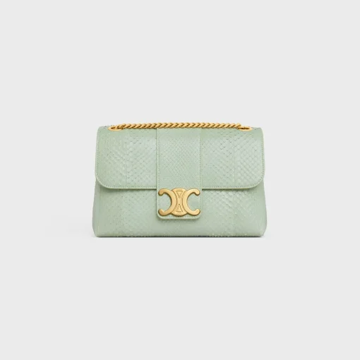 Medium Celine Victoire Bag in PYTHON