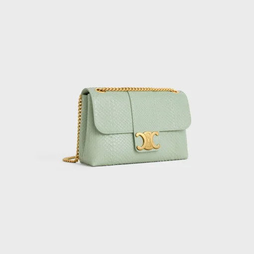 Medium Celine Victoire Bag in PYTHON
