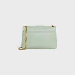 Medium Celine Victoire Bag in PYTHON