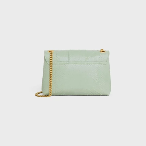 Medium Celine Victoire Bag in PYTHON