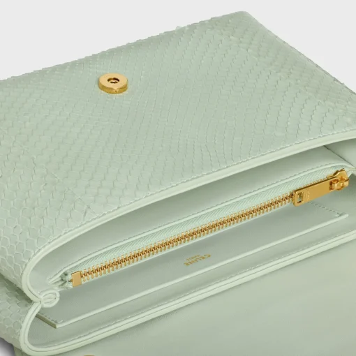Medium Celine Victoire Bag in PYTHON