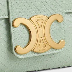 Medium Celine Victoire Bag in PYTHON