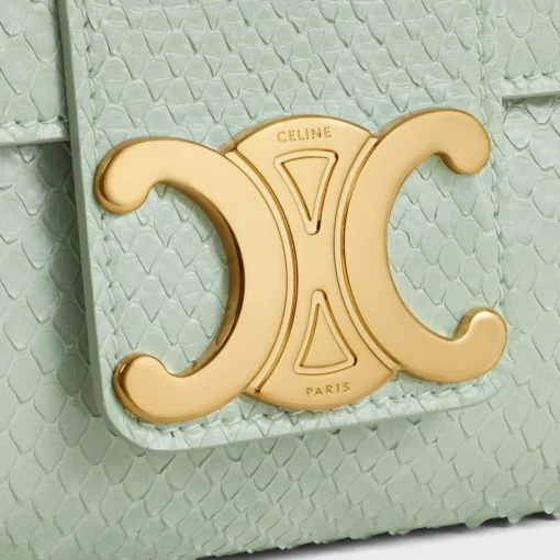 Medium Celine Victoire Bag in PYTHON