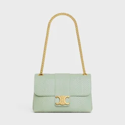 Medium Celine Victoire Bag in PYTHON