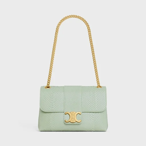 Medium Celine Victoire Bag in PYTHON