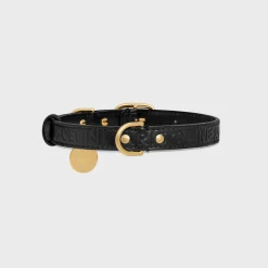 Medium thin dog collar in smooth calfskin with CELINE embossed