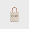 Mini Vertical Cabas in Triomphe Canvas and calfskin with Celine print