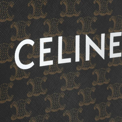 Mini Vertical Cabas in Triomphe Canvas and calfskin with Celine print