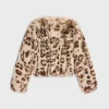 pure collar jacket in goat cashmere