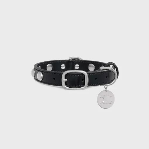 Small Thin Dog Collar in Smooth Calfskin with Studs
