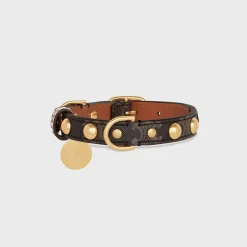 Small Thin Dog Collar in Triomphe Canvas & Calfskin with studs