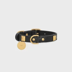 Small Thin Dog Collar in smooth Calfskin with pyramid studs