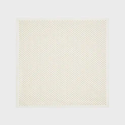 square in triomphe silk twill