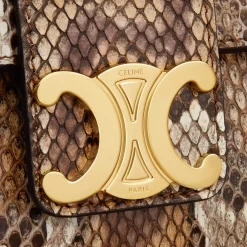 TEEN CELINE VICTOIRE BAG in PYTHON